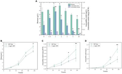 The enhancement of astaxanthin production in Phaffia rhodozyma through a synergistic melatonin treatment and zinc finger transcription factor gene overexpression